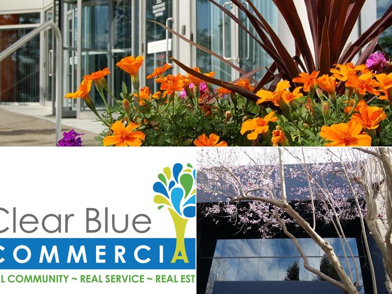 Clear Blue Commercial, Inc.