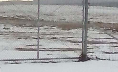 C.G.D. Services 1106 Roberts box 706, Vega Texas 79092