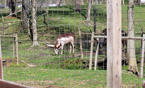Living Treasures Animal Park Jones Mills