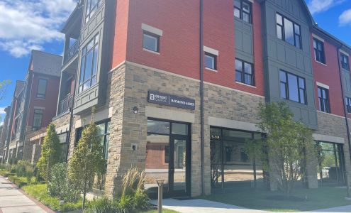 Bisbe Capital - Raymond James