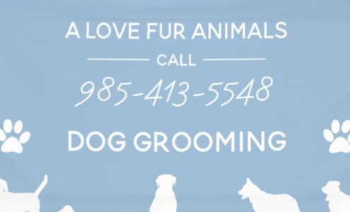 A Love Fur Animals 347 Bayou Blue Bypass Rd, Gray Louisiana 70359