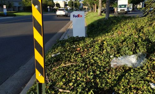 FedEx Drop Box