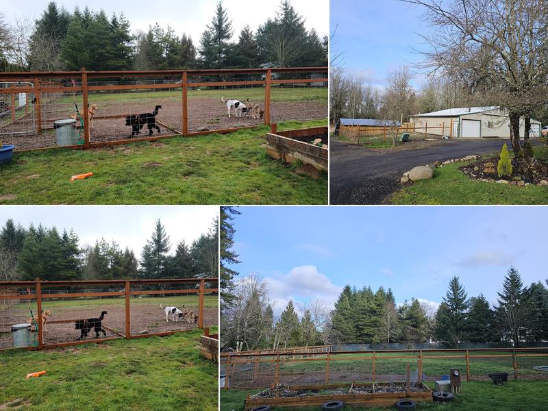 Paws on Gresham