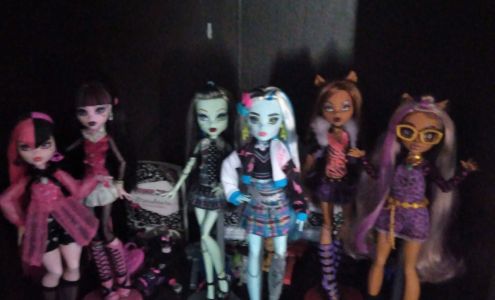 Desert Lily Home Care Inc