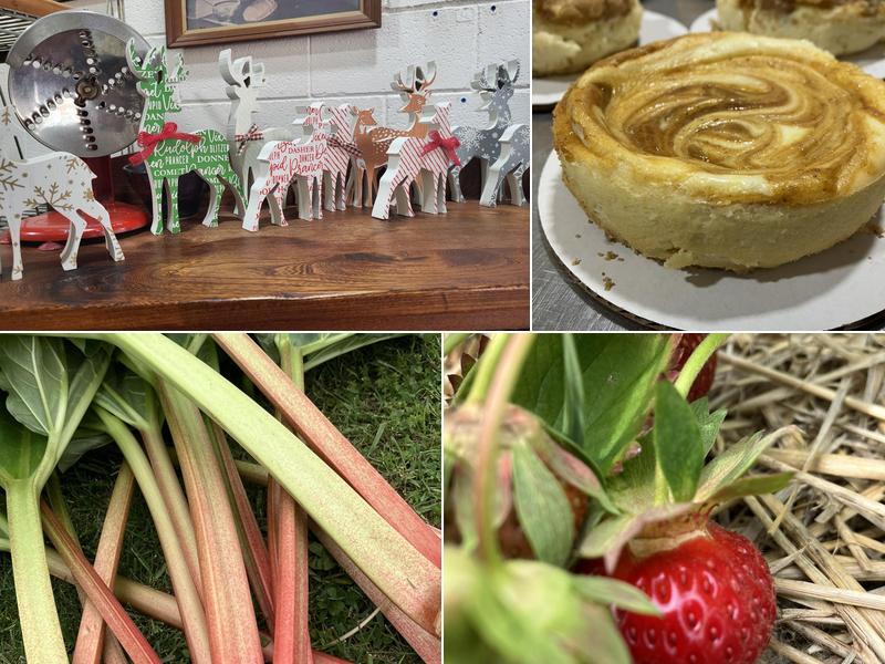 Mike and Ruth's Hilltop Farm 7320 37 Mile Rd, Bruce