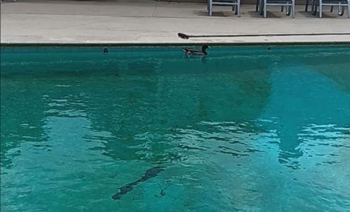 Southwinds Apartments