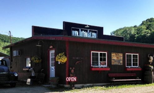 BuffaloGal.com - Money Creek Buffalo Ranch Houston