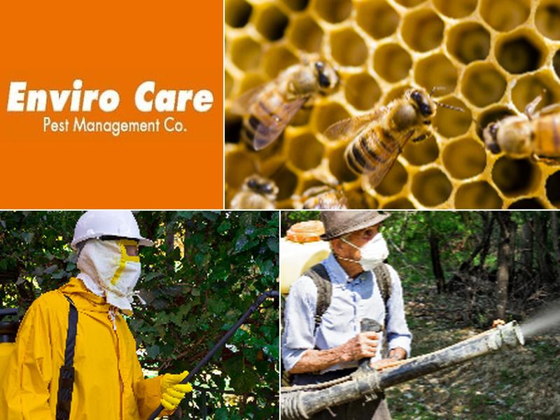 Enviro Care Pest Management Co