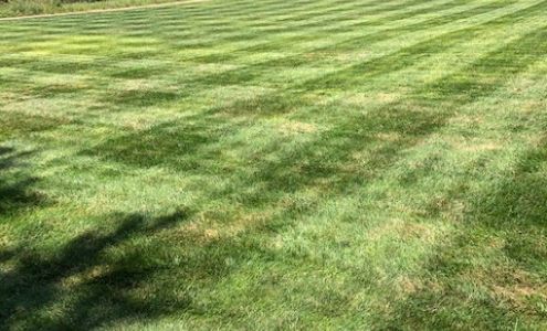 Biggest Littlest Lawn Care LLC Halstead Kansas 