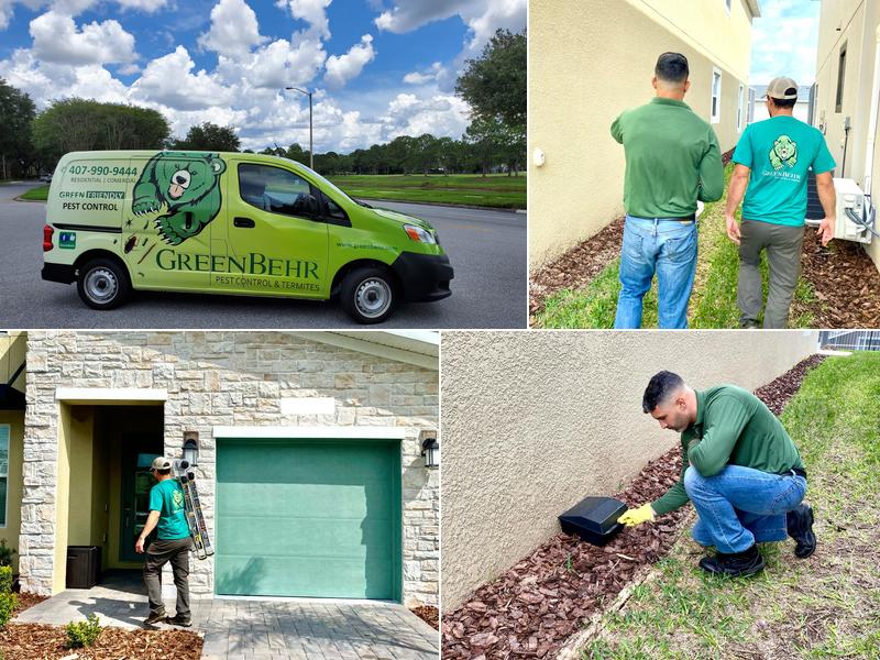 Green Behr Pest Control & Termites