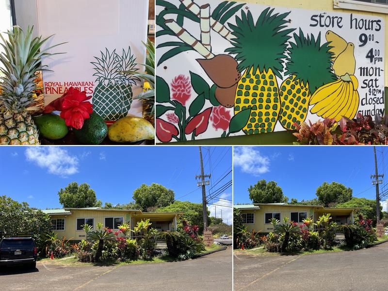 The Pineapple Store 34684 Kuhio Hwy, Lihue
