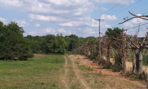 Honey Brook Farms Brandy Station