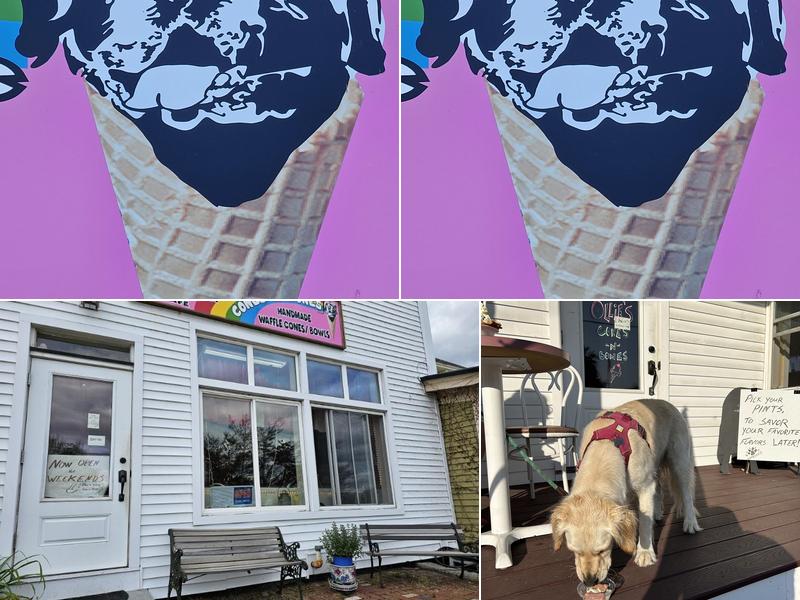 Ollie's Cones -N- Bones