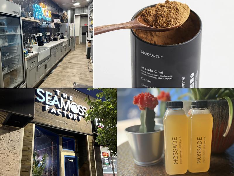 THE SEA MOSS FACTORY