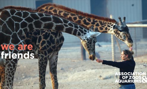 Association of Zoos & Aquariums