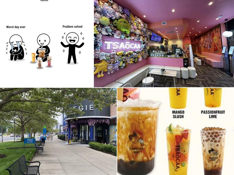 Tsaocaa Tea 700 Plaza Dr Suite 0135, Secaucus