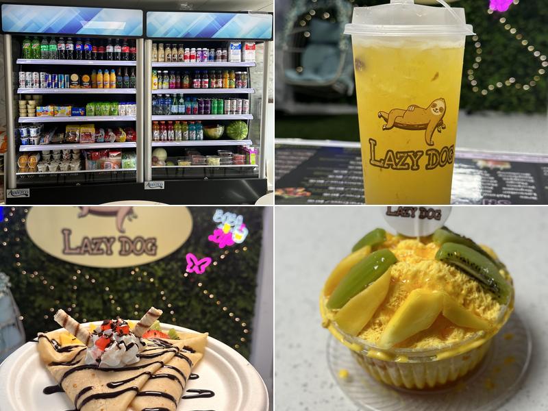 Lazy Dog Grocery Store