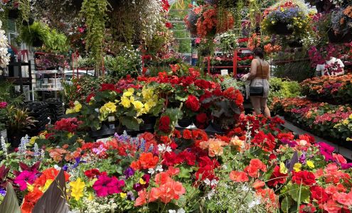 Charcuterie de Tours