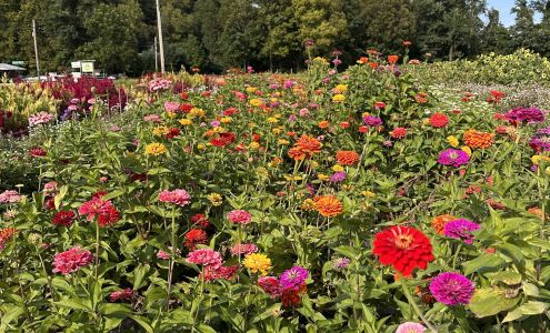 R.O. Davenport & Sons? Farm Hurley