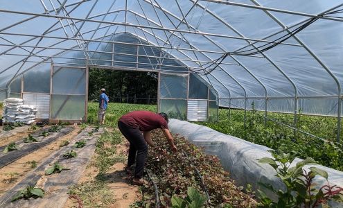 Providence Farm Collective Orchard Park