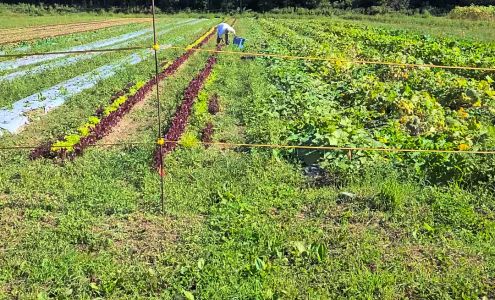 Taliaferro Farms New Paltz