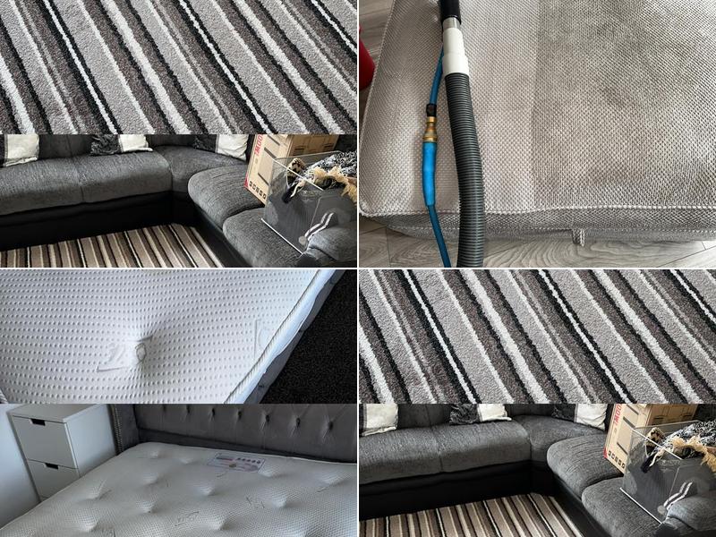 First Choice Carpet Cleaning