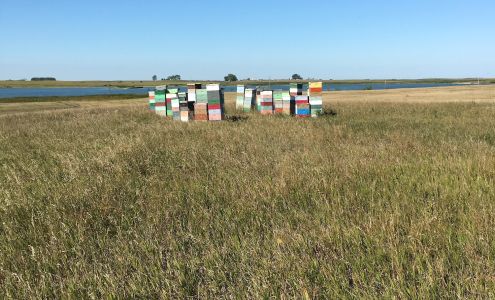 Buffalo City Bees Jamestown