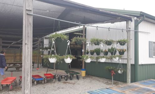 Yankee Street Market