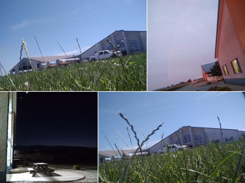 Four Leaf Clover Dairy