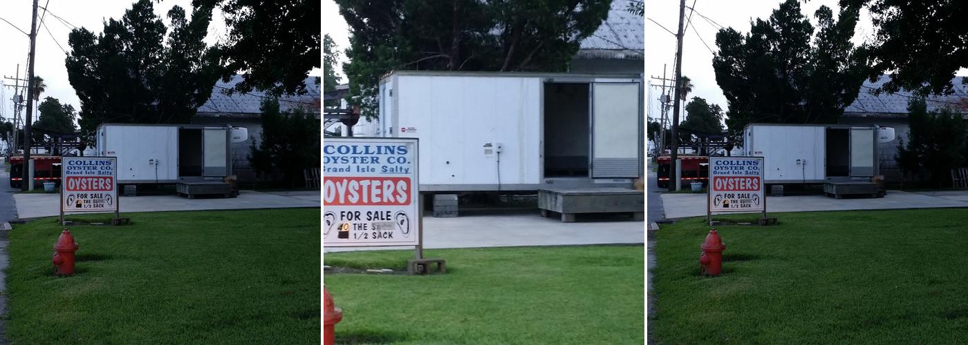 Collins Oyster Co Inc