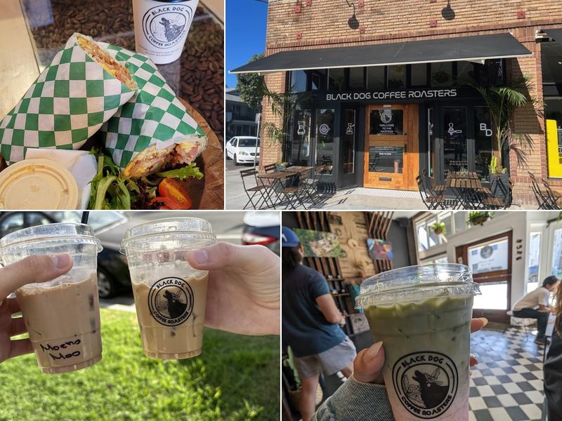 Black Dog Coffee Roasters