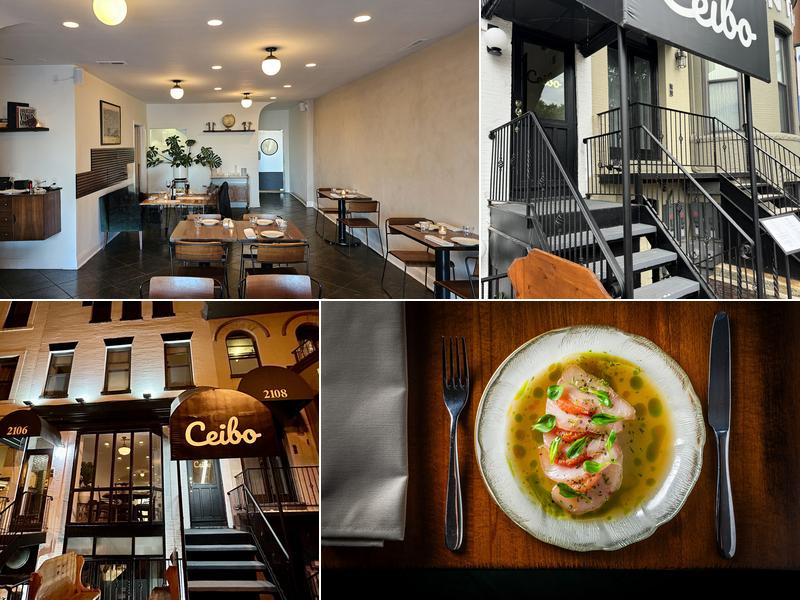 Ceibo 2106 18th St NW 1st floor, Washington