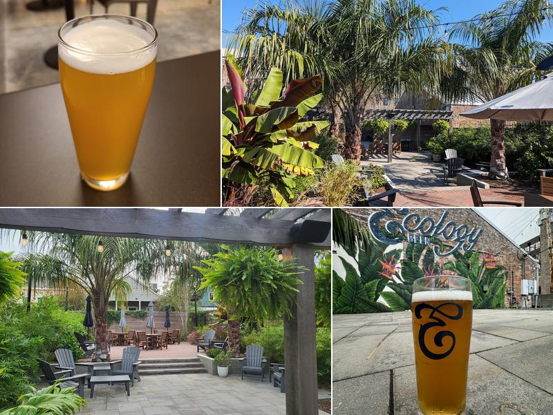 Ecology Beer Creative