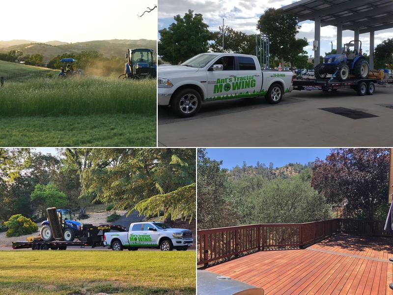 Ant's Tractor Mowing