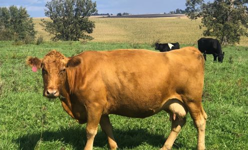 Twisted Oaks Meats West Branch