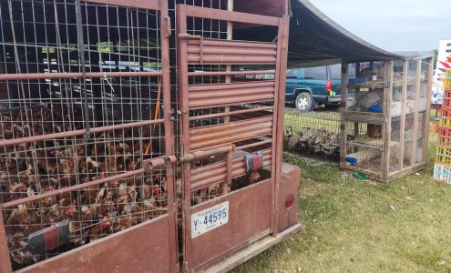 Rutledge Flea Market Rutledge