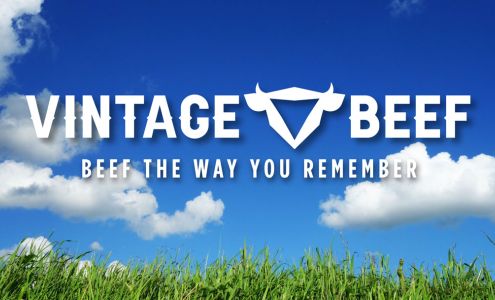 Vintage Beef Charter Oak