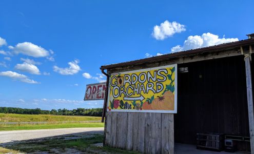 Gordon's Orchard Collins