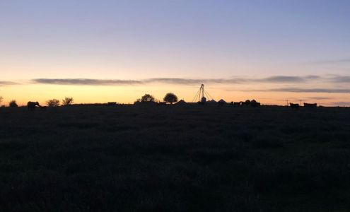 Cubbage Feeds LLC Nevada