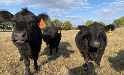 J&S Farms Stotts City