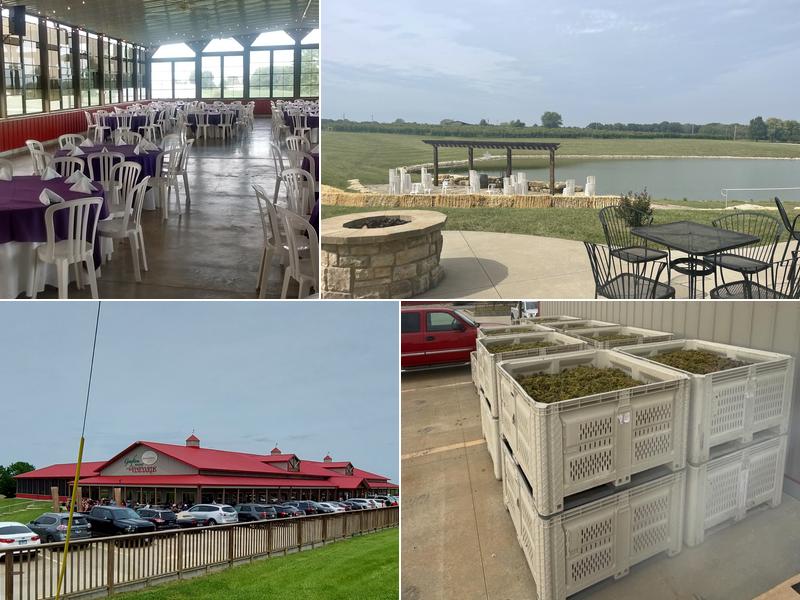 Grafton Winery the Vineyards