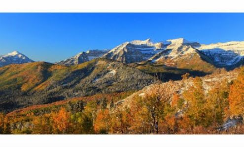 Blackburn Jones Company