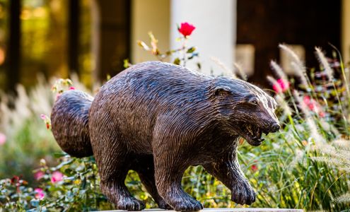 Wolverine Mutual Insurance Company