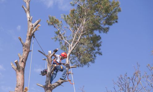 All American Tractor & Tree