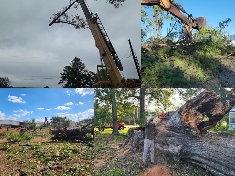 Gregalls Tree Service