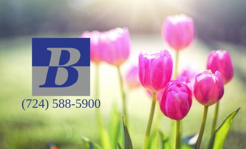 Bittel & Company Greenville