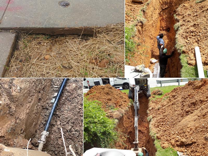 [Paramount] Phi Group llc