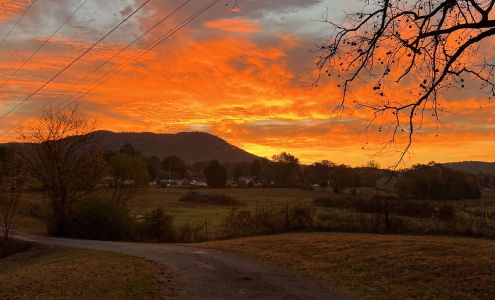 Bryan McKee | Movement Mortgage