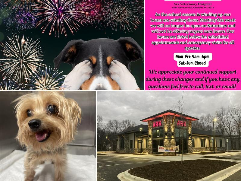 Ark Veterinary Services PLLC