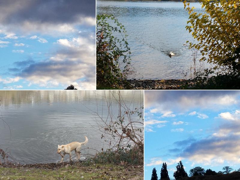 A River Runs Thru It